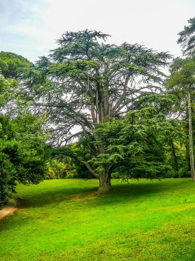 Yüksek dinamik aralık (Hdr) bahçeleri ve çeşmeler Caserta, İtalya
