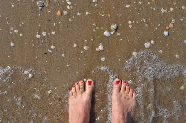 水とシェルで海辺のビーチで女性の足 — ストック写真