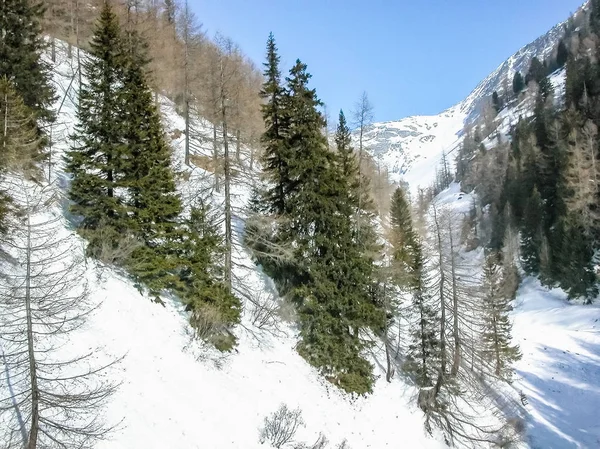 Stort Dynamiskt Omfång Hdr Visa Piz Bernina Alperna Bergen Schweiz — Stockfoto
