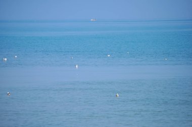 Kıyıdan denizin panoramik manzaralı