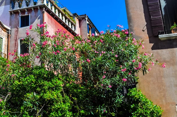 高ダイナミック レンジ Hdr イタリアのベニス Venezia の町観 — ストック写真