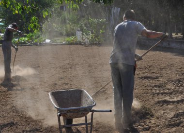 Bahçıvan adam bir tırmıkla kahverengi toprak alanında çalışan