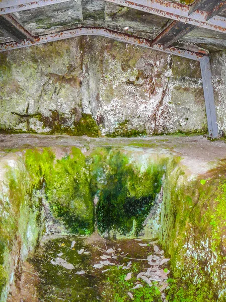 Tuscania Italia Circa Junio 2016 Alta Gama Dinámica Hdr Necrópolis —  Fotos de Stock