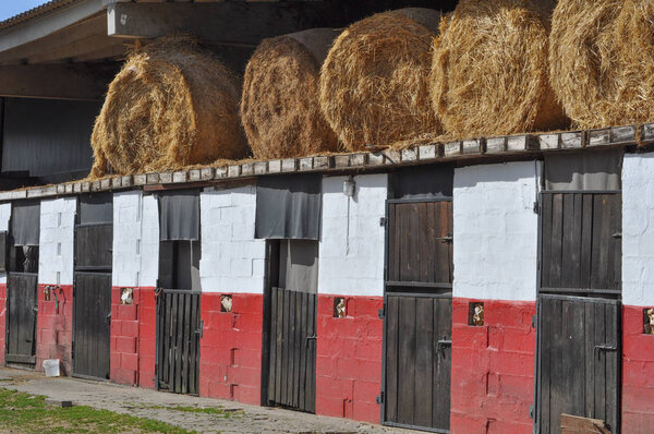 stabling livery for horses (Equus ferus caballus)