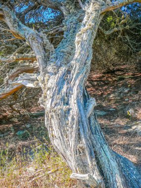 Yüksek Dinamik Aralık (Hdr) görünümü Lampianu dağlar Sardunya, İtalya
