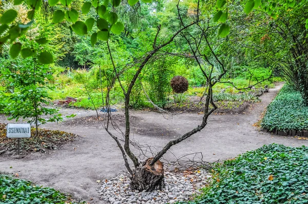 Hoher Dynamischer Bereich Hdr Ogrod Botaniczny Botanische Gärten Warschau Polen — Stockfoto