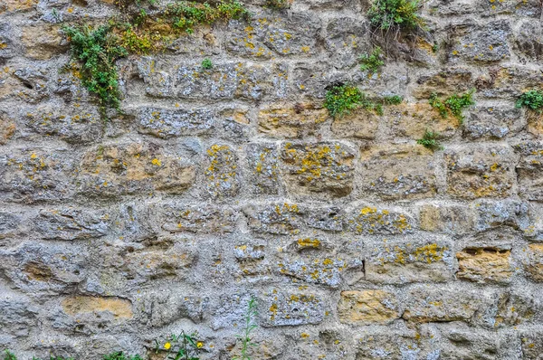 Stort Dynamiskt Omfång Hdr Grå Stenmur Användbar Som Bakgrund — Stockfoto