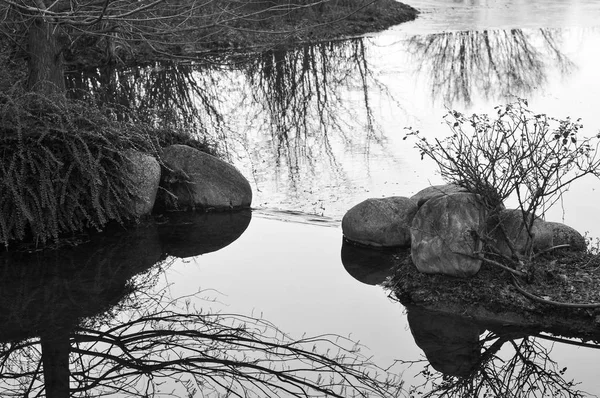 Rocas Árboles Reflejados Estanque Agua Blanco Negro — Foto de Stock