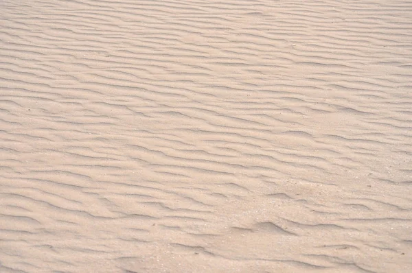 Dunas Areia Uma Praia Útil Como Fundo — Fotografia de Stock