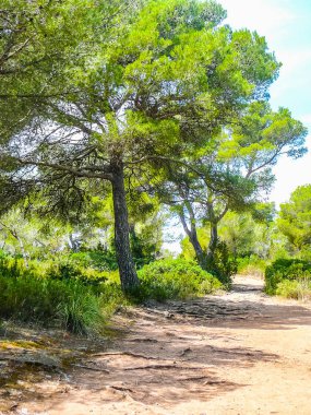Yüksek dinamik aralık (Hdr) görünümü, Cala Galdana Minorca Island İspanya