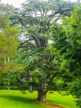 Yüksek dinamik aralık (Hdr) bahçeleri ve çeşmeler Caserta, İtalya