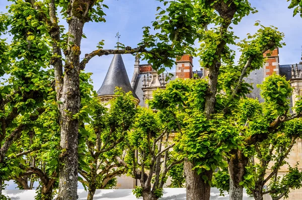 High Dynamic Range Hdr Gardens Royal Chateau Amboise Indre Loire — Stock Photo, Image