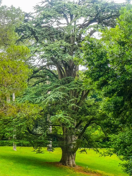 Jardines Fuentes Alta Gama Dinámica Hdr Caserta Italia —  Fotos de Stock