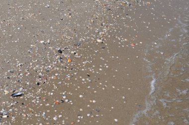 deniz deniz sahil plaj kum üzerinde tarafından