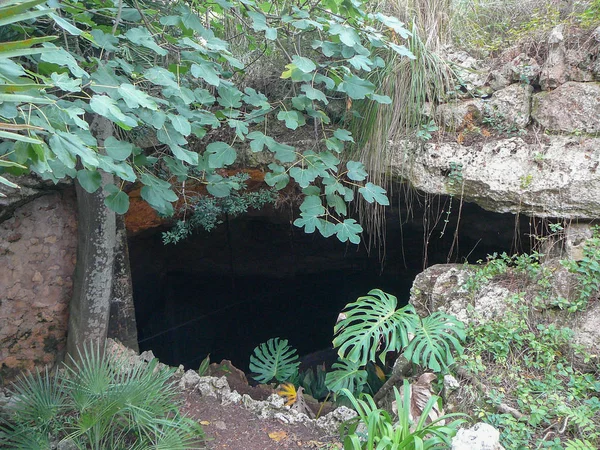 Entrada Para Cuevas Del Drach Aka Caves Drach Que Significa — Fotografia de Stock