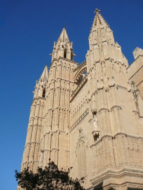 Katedral Della Palma (aka La Seu) Palma De Mallorca, İspanya