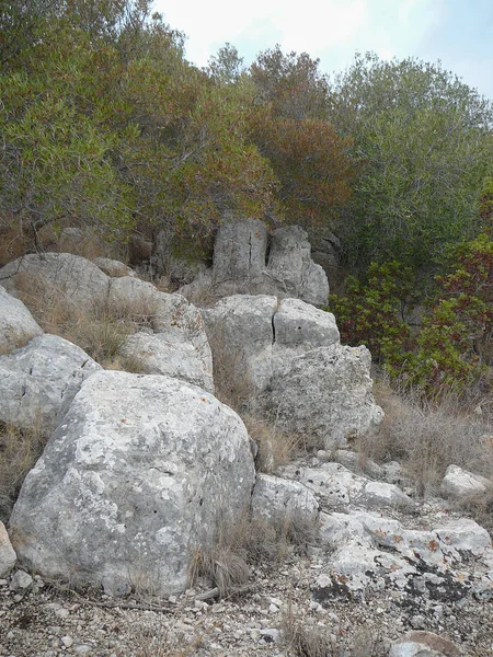 Ancient Ruins Puig Morisca Meaning Moorish Peak Archaeological Park Majorca — Stock Photo, Image