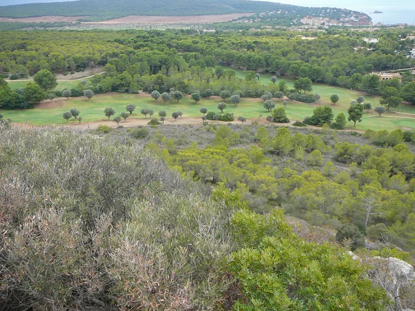 Antiguas Ruinas Parque Arqueológico Puig Morisca Pico Morisco Mallorca España — Foto de Stock