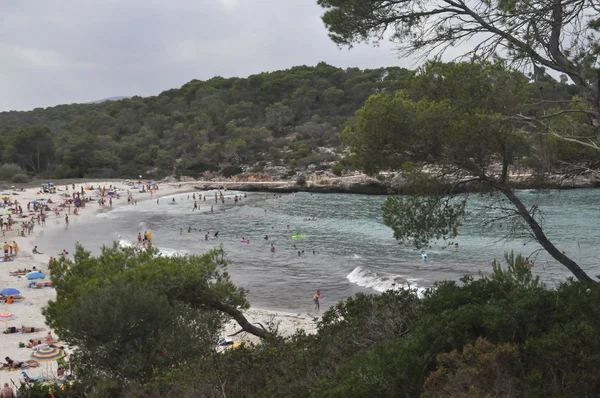 Cala S Amarador strand i Mallorca - Stock-foto