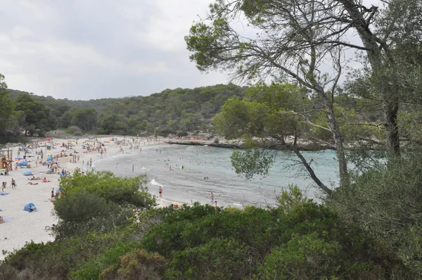 Majorca, İspanya - Temmuz 2017 yaklaşık: Cala Mondrago beach