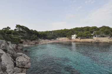Mayorka Cala Gat beach