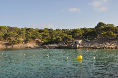 Mayorka Cala Portal Vels beach