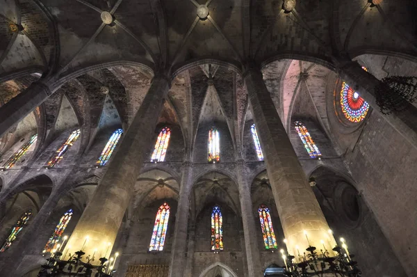Palma De Mallorca'da St Mary Katedrali