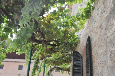 Arta, İspanya kenti