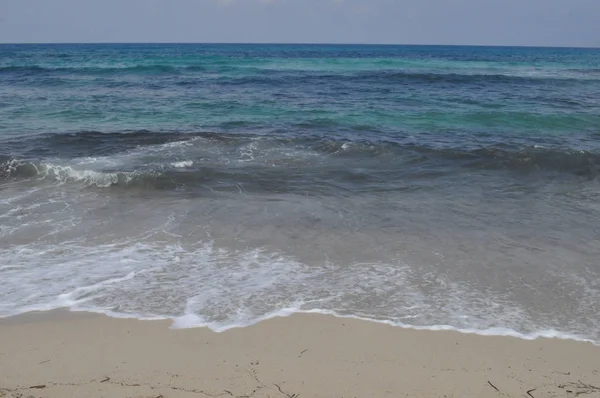 Cala Torta Beach Majorca Spanya — Stok fotoğraf