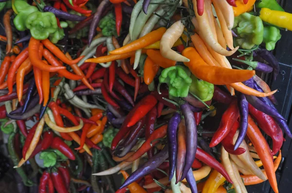 Chiles Picantes Capsicum También Conocidos Como Chile Chile Verduras Alimentos —  Fotos de Stock