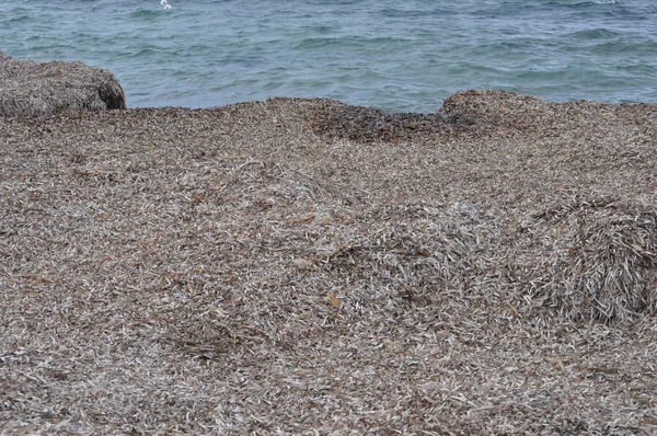 Vista Praia Trapani Itália — Fotografia de Stock