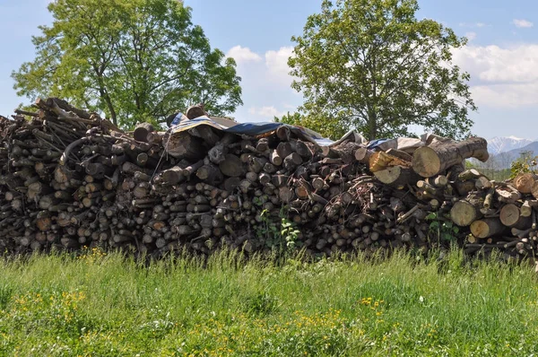 Een Hoop Hout Registreert Een Weiland — Stockfoto