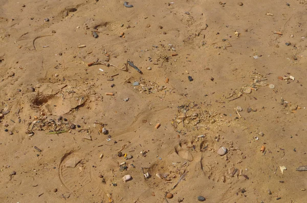 Brown Sand Surface Useful Background — Stock Photo, Image