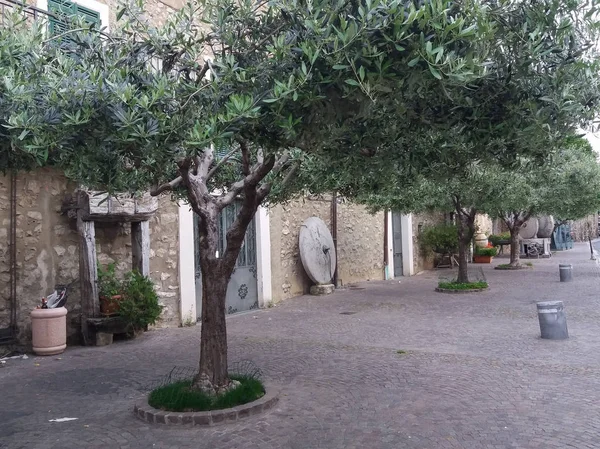 Vista Ciudad Albenga Italia —  Fotos de Stock