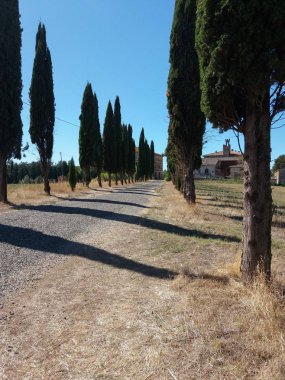 Murlo, İtalya şehir görüntüsü