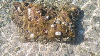 bir arka plan olarak şeffaf bakınız su yararlı aracılığıyla temizleyin