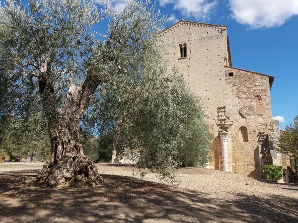 Abdij Van Sant Antimo Montalcino Italië — Stockfoto