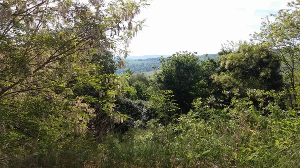 Vista Das Colinas Torno Siena Itália — Fotografia de Stock