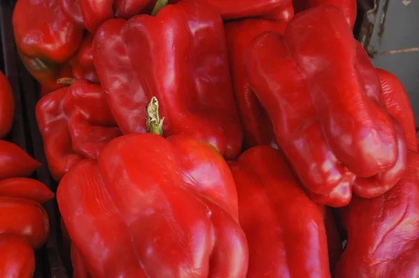 Červené Papriky Kapie Aka Bell Peppers Zeleninou Vegetariánské Veganské Jídlo — Stock fotografie