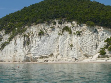 Beyaz kayalıklar sahil Pugnochiuso, İtalya