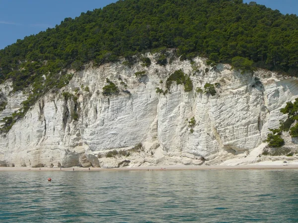 Beyaz kayalıklar sahil Pugnochiuso, İtalya