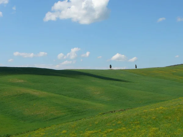 Widok Wzgórza Wokół Siena Włochy — Zdjęcie stockowe