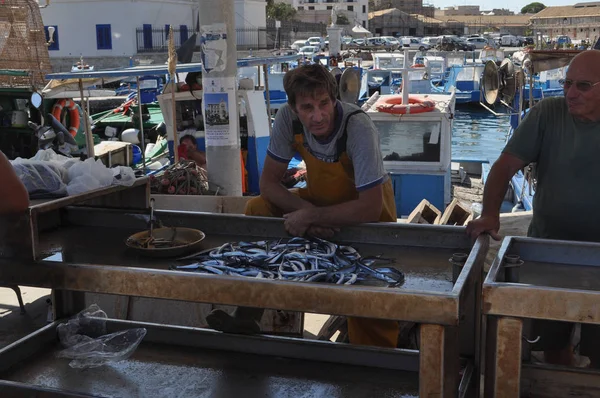 Trapani balık satan balıkçı