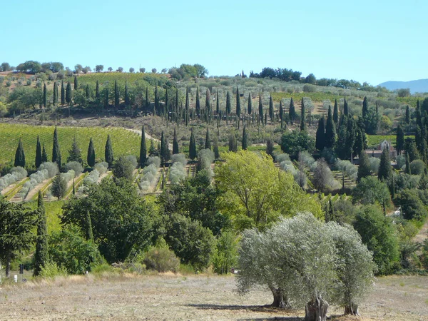 Collines Entourant Abbaye Sant Antimo Montalcino Italie — Photo