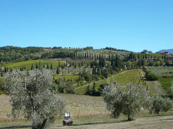 Kopce Surroundind Opatství Sant Antimo Montalcino Itálie — Stock fotografie