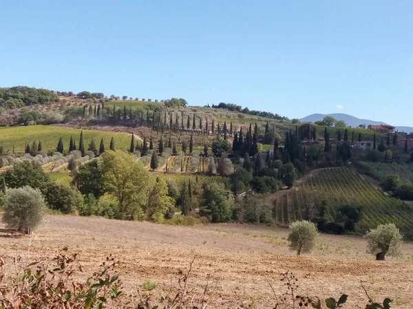 Heuvels Surroundind Abdij Van Sant Antimo Montalcino Italië — Stockfoto