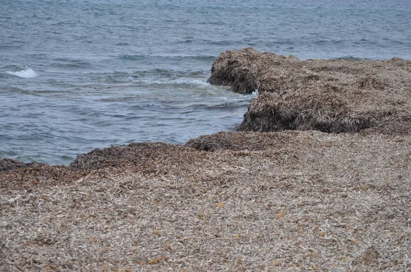 Vue Sur Plage Trapani Italie — Photo