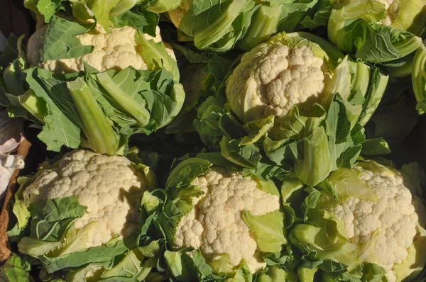 Cauliflower Brassica Oleracea Vegetables Vegetarian Vegan Food — Stock Photo, Image