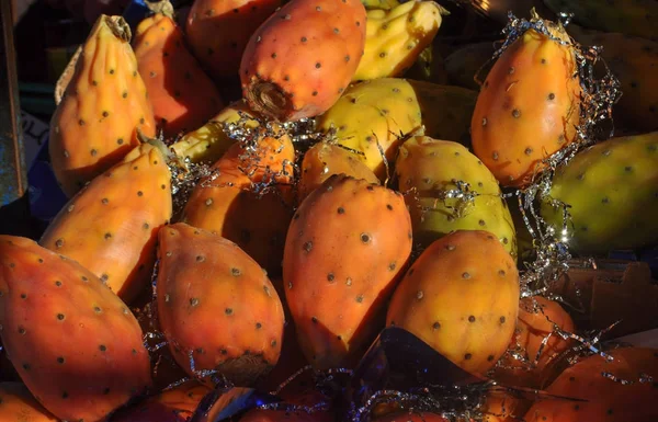 Barbary Fig Aka Indisk Fig Opuntia Kaktusfikon Ryggradslös Cactus Och — Stockfoto