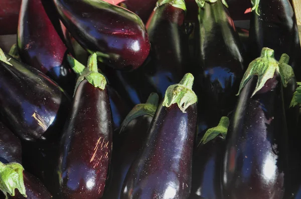 aubergine (Solanum melongena) aka egg plant or melongene or garden egg vegetables vegetarian and vegan food